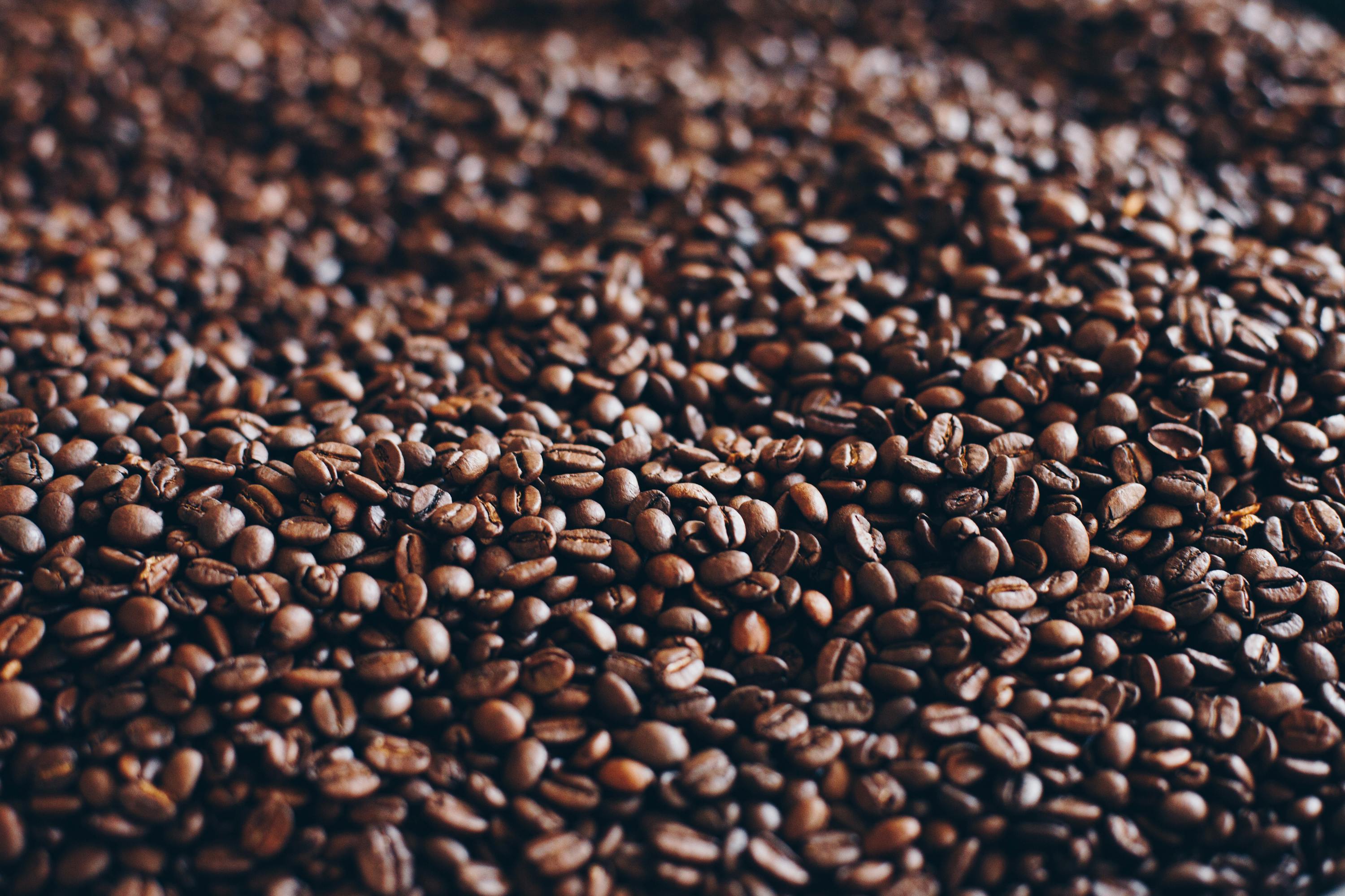 Roasted Coffee Beans - Sidamo Coffee/Ethiopia