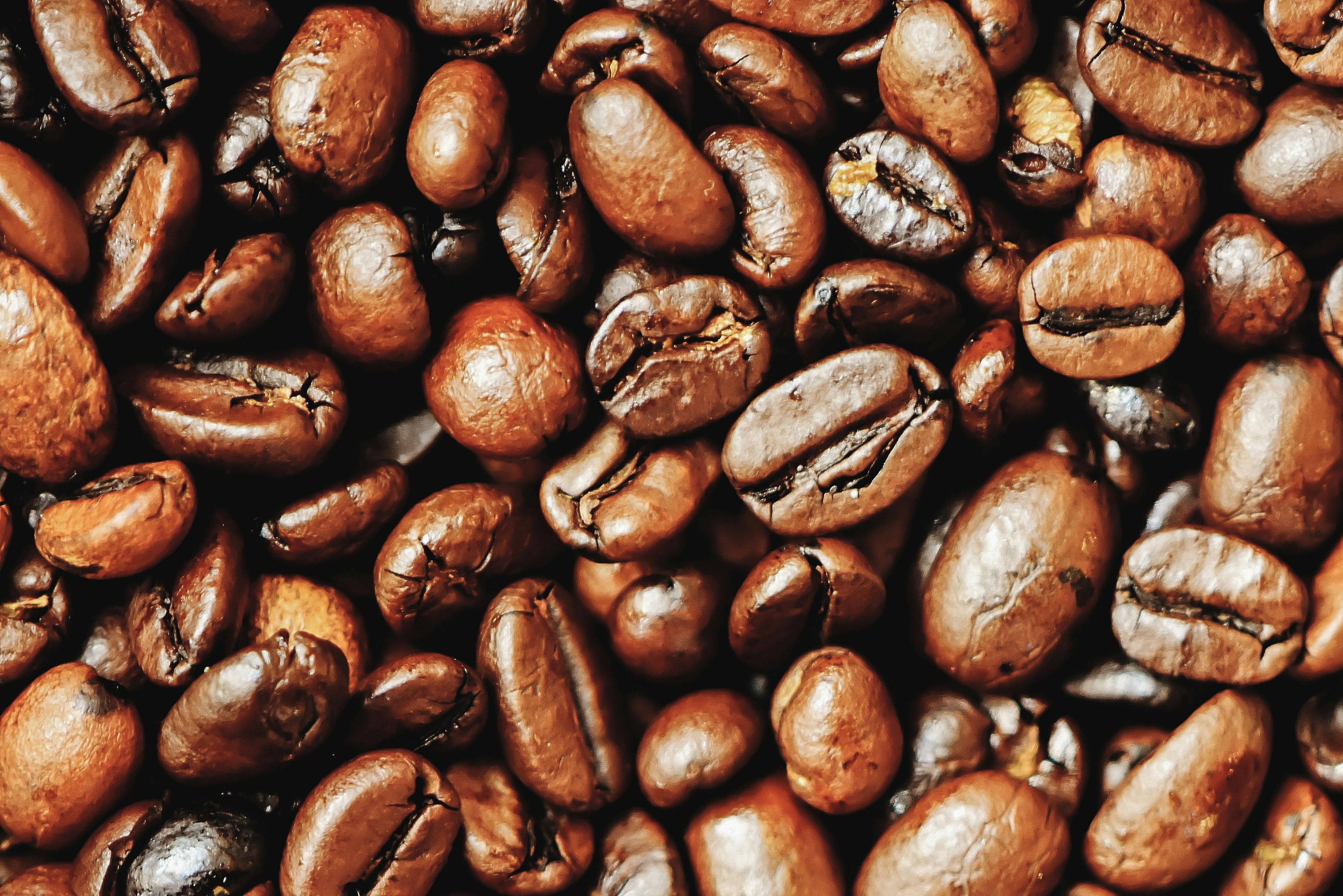 Roasted Coffee Beans - Yirgachefe Coffee/Ethiopia