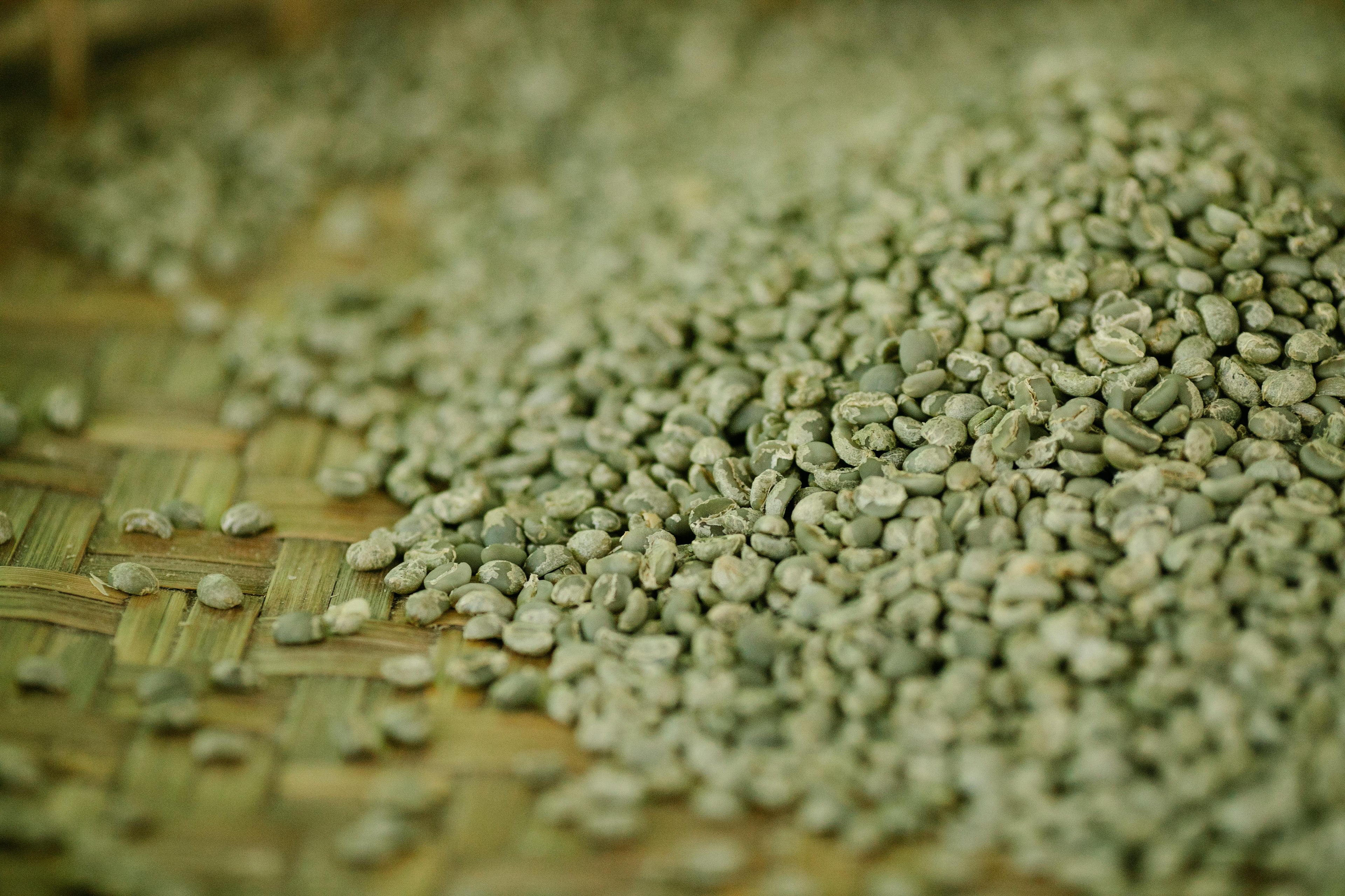 Green Bean - Sidamo Coffee/Ethiopia