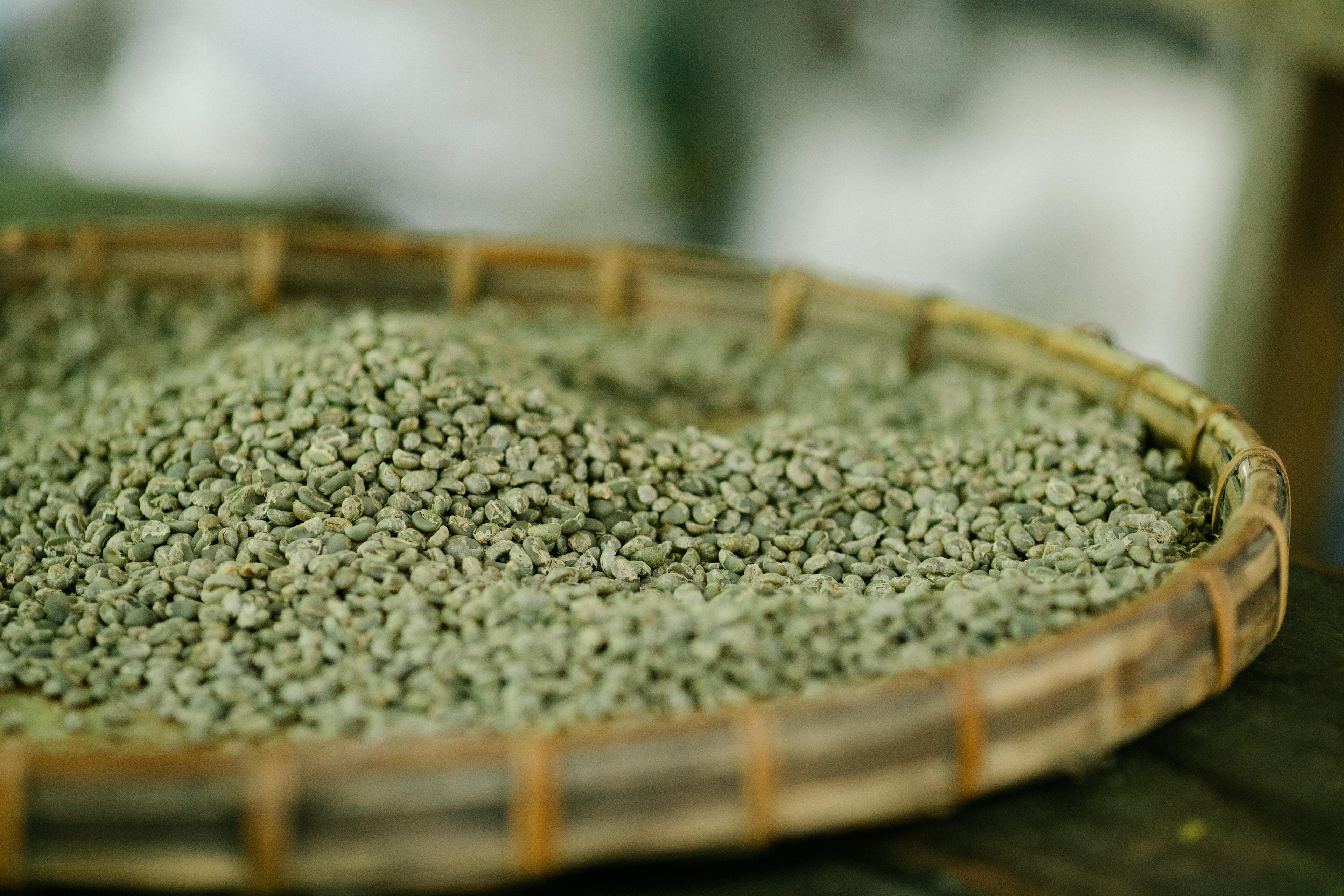 Green Bean - Yirgachefe Coffee/Ethiopia