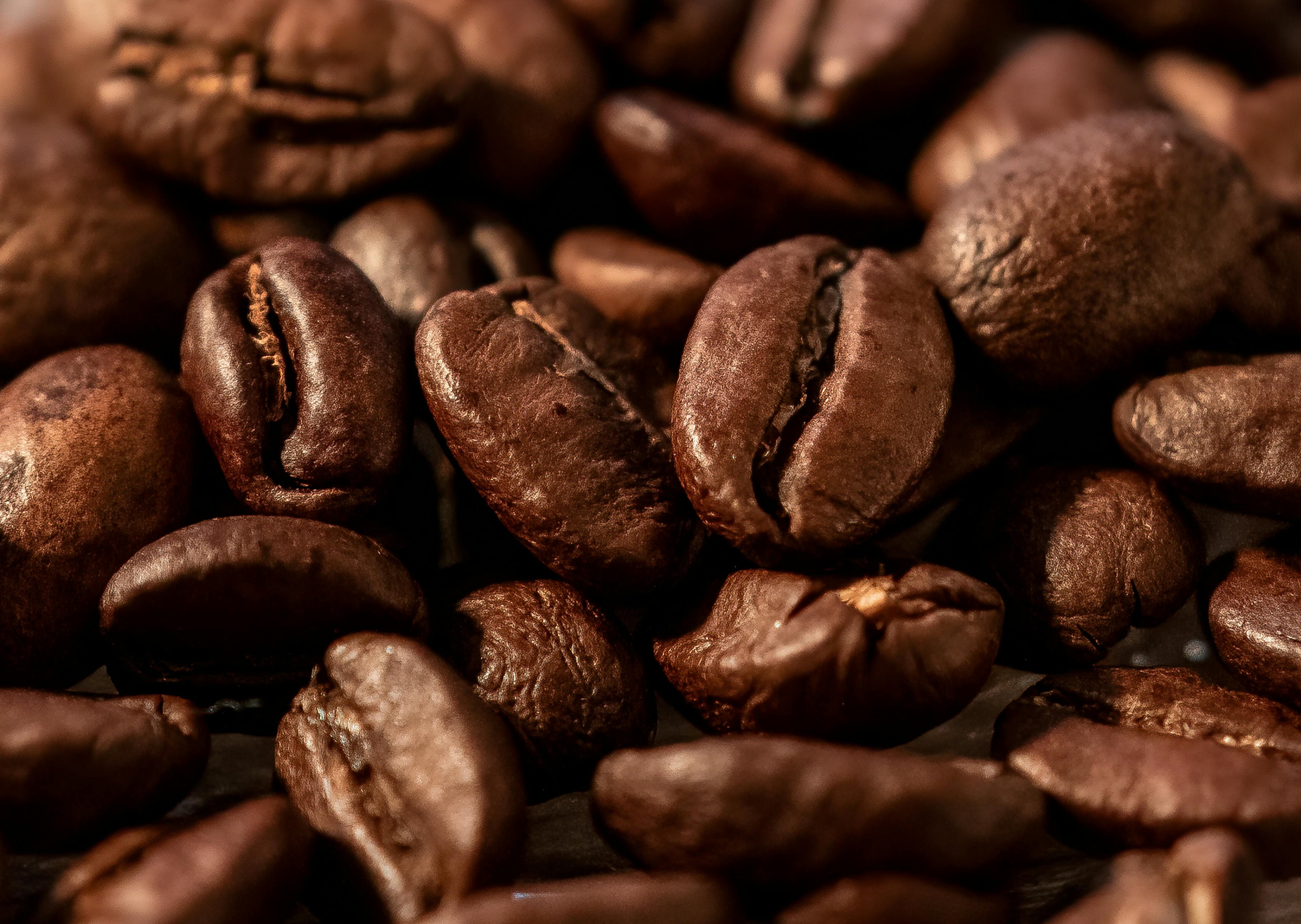 Roasted Coffee Beans - Sidamo Coffee/Ethiopia