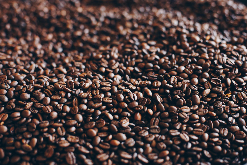 Roasted Coffee Beans - Sidamo Coffee/Ethiopia