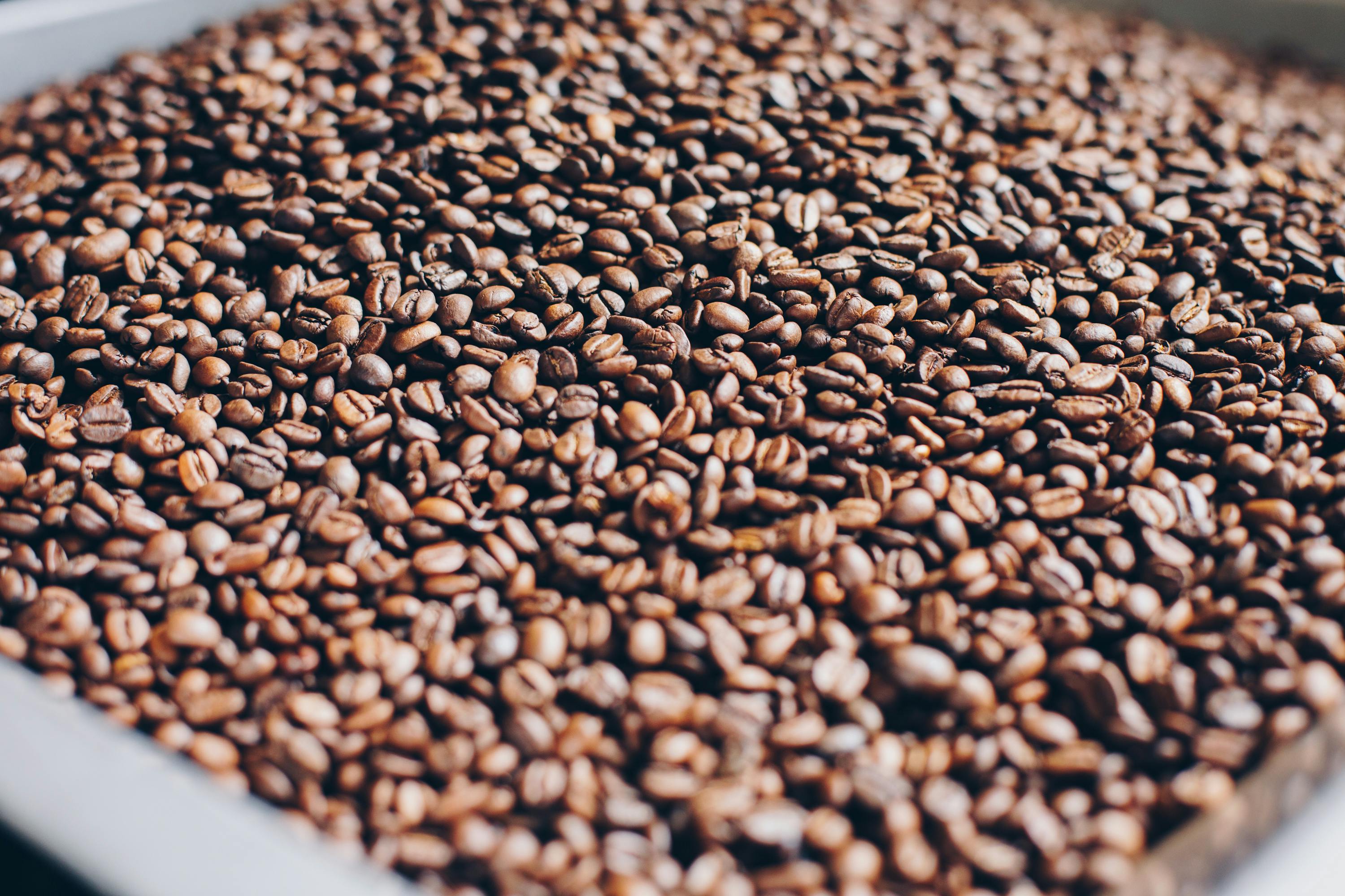 Roasted Coffee Beans - Yirgachefe Coffee/Ethiopia