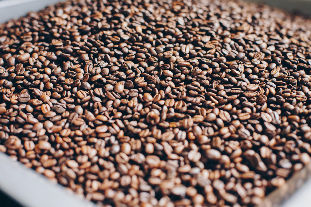 Roasted Coffee Beans - Yirgachefe Coffee/Ethiopia